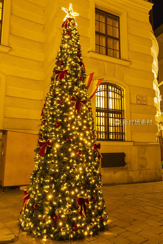 奥地利维也纳市中心街道上的圣诞树