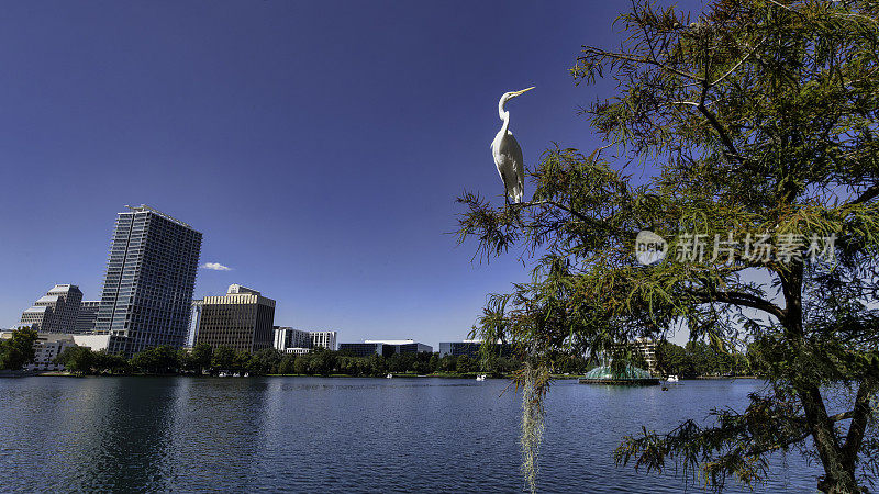 风景秀丽的伊奥拉湖公园位于佛罗里达州奥兰多市中心