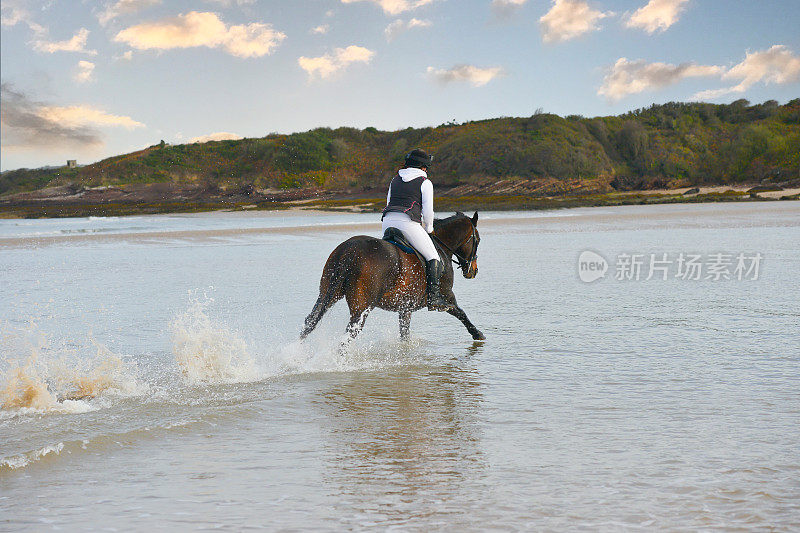 秋天的一天，在英国威尔士的海滩上，一名年轻女子骑着她的小马驹离开了镜头，当她们沿着水边比赛时，溅起了很多水花。