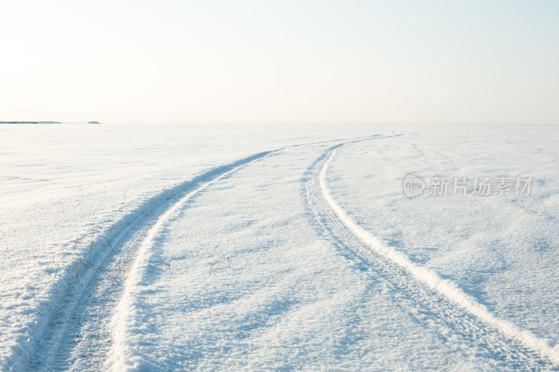 雪地里的沙漠和汽车的痕迹