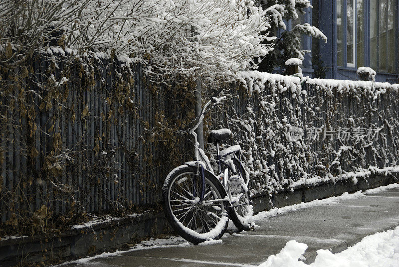 雪的自行车