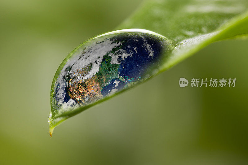 树叶与雨滴-恢复土地的概念