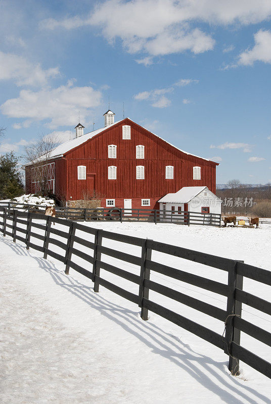 红色谷仓在白色的冬天雪，晴朗的天空