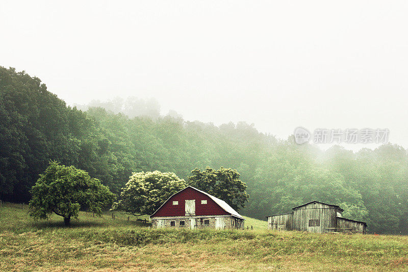 西弗吉尼亚的一个农场有雾