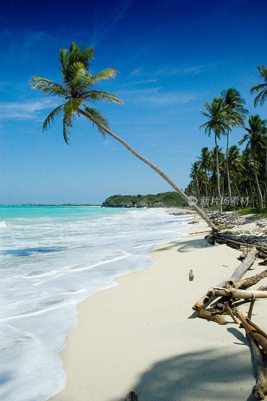 热带白色沙滩椰子树和绿松石水域