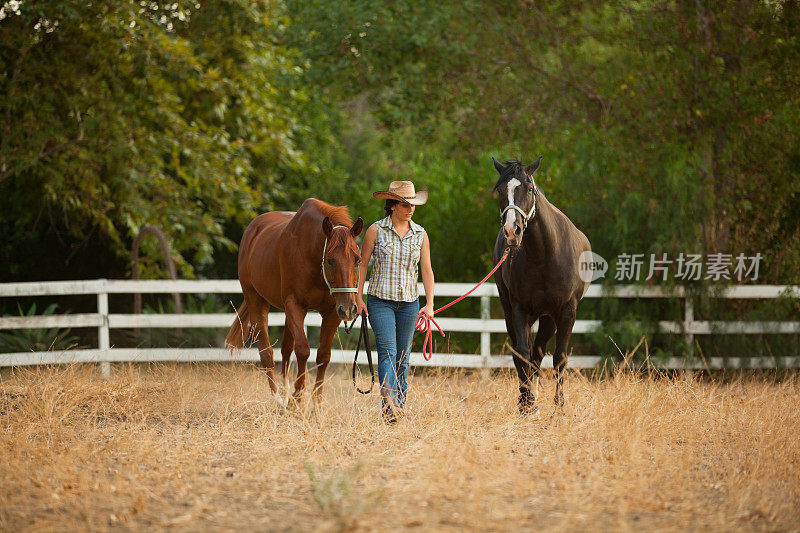 农场上的女人和她的马