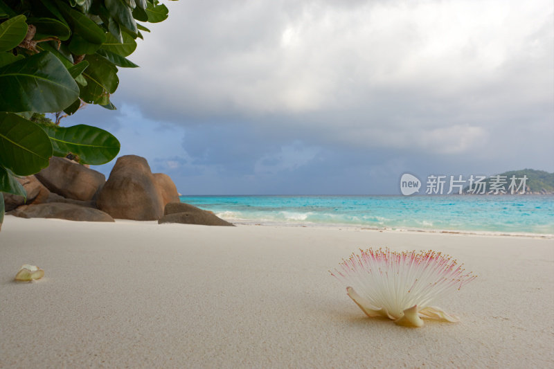 Similan岛屿。普吉岛。泰国