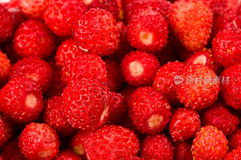 野草莓堆