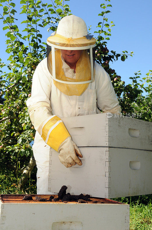 蜜蜂饲养员