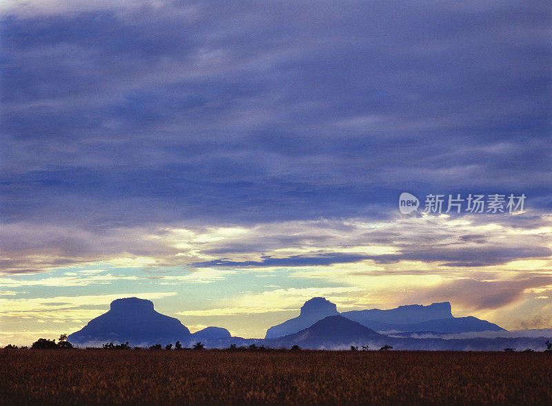 草地，背景是特普伊