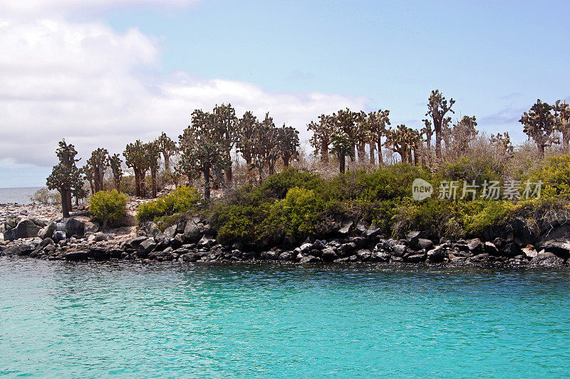 加拉帕戈斯群岛:圣达菲岛的岩石海岸线