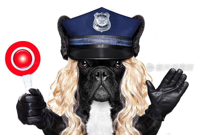带着警犬的警察或女警察