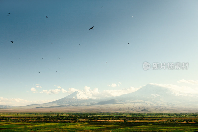 阿勒山