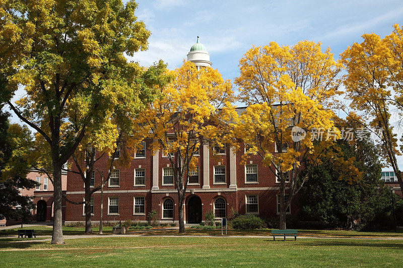 缅因大学