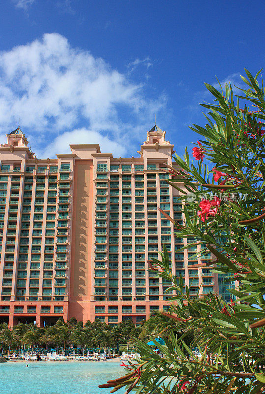 巴哈马群岛的酒店