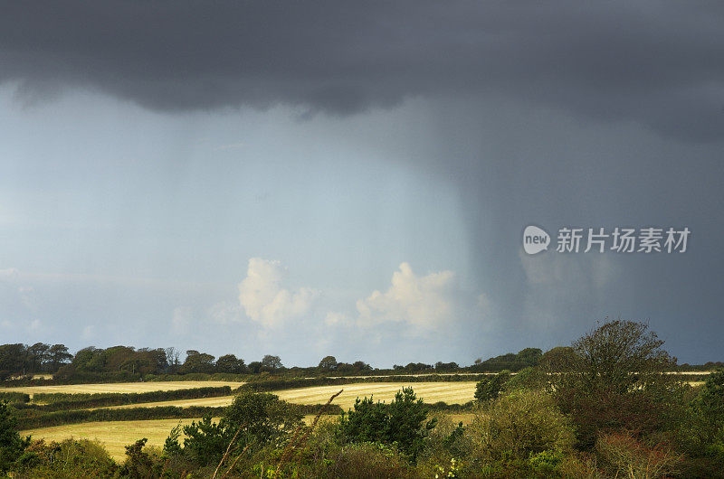 田野上有暴雨