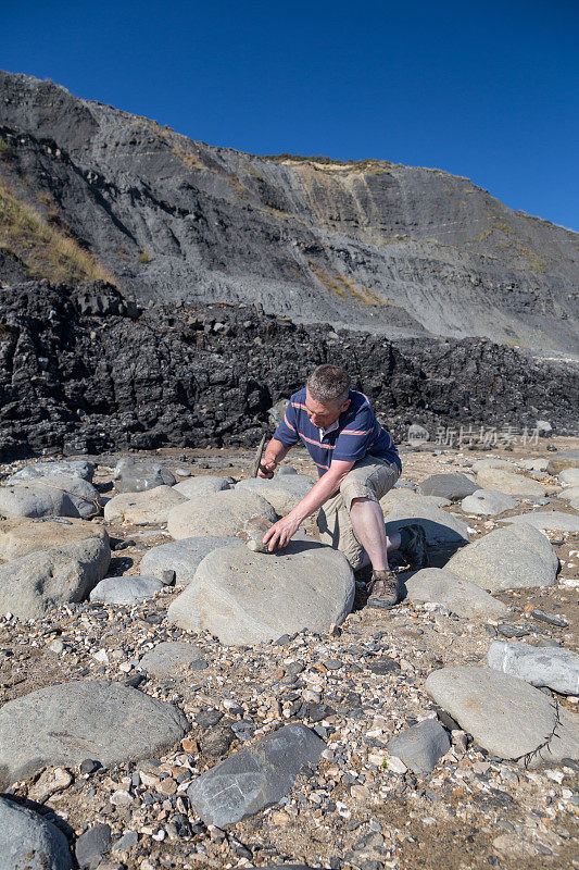 男性地质学家在海滩上检查岩石