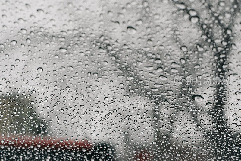 雨点落在窗户上，树的剪影