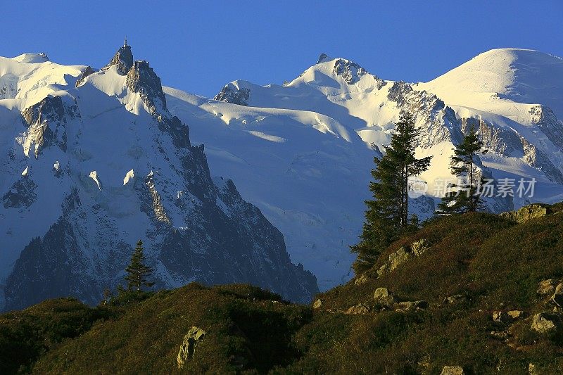 勃朗峰田园风光的高山乡村，松树-夏蒙尼阿尔卑斯