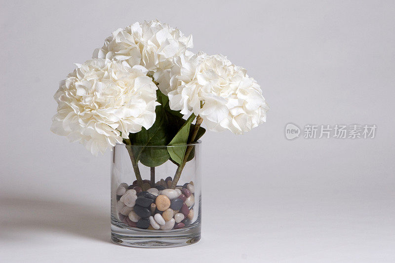 花瓶里的白绣球花