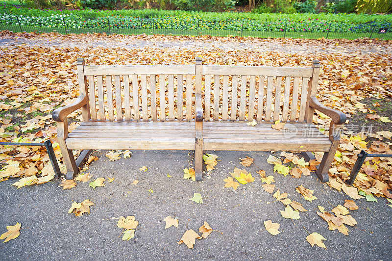 圣詹姆斯公园长椅，秋天，伦敦。