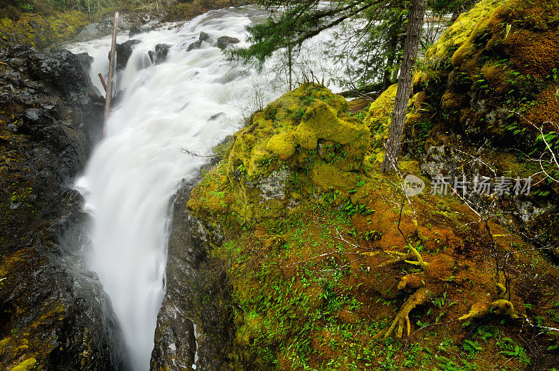 加拿大温哥华岛的英国河瀑布