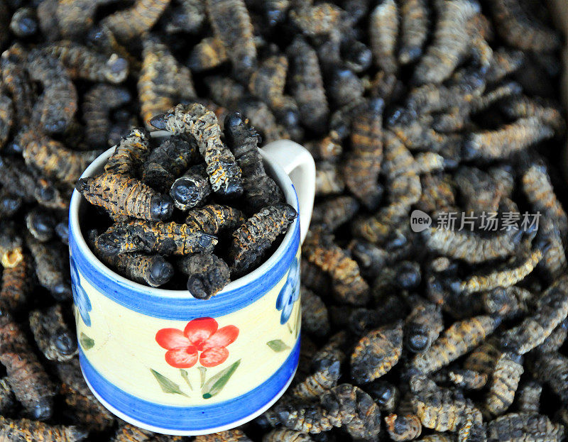 哈博罗内:可食用幼虫昆虫，出售零食