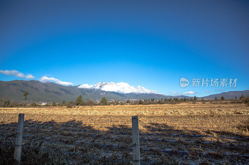 雪山下草原