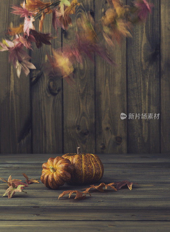 秋天背景。有南瓜、树叶和木头的乡村静物画
