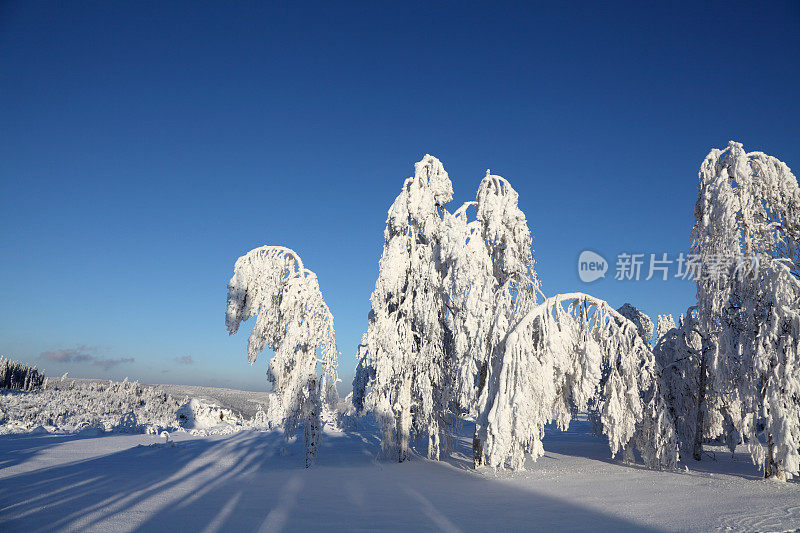 落日中的冬日美景