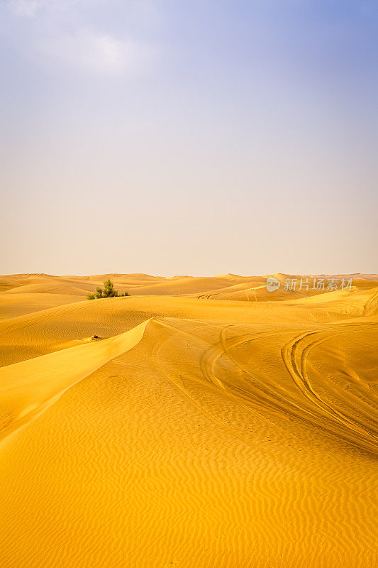 沙丘上的风向和轮胎轨迹，杜巴?沙漠