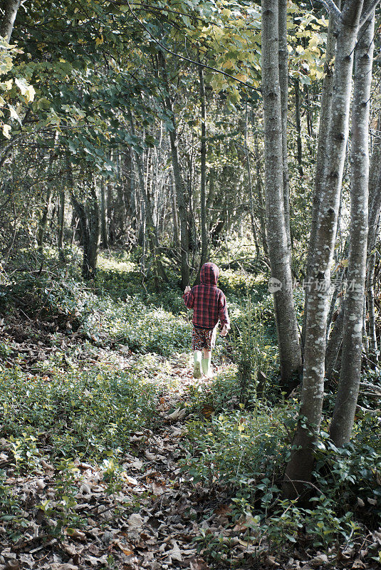 穿着伐木工衬衫的男孩在秋天的树林里散步