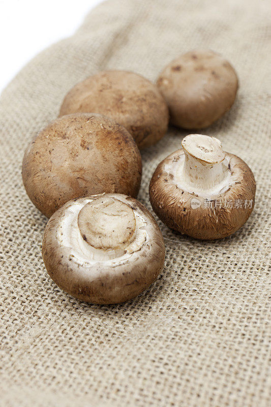 麻袋上的小蘑菇