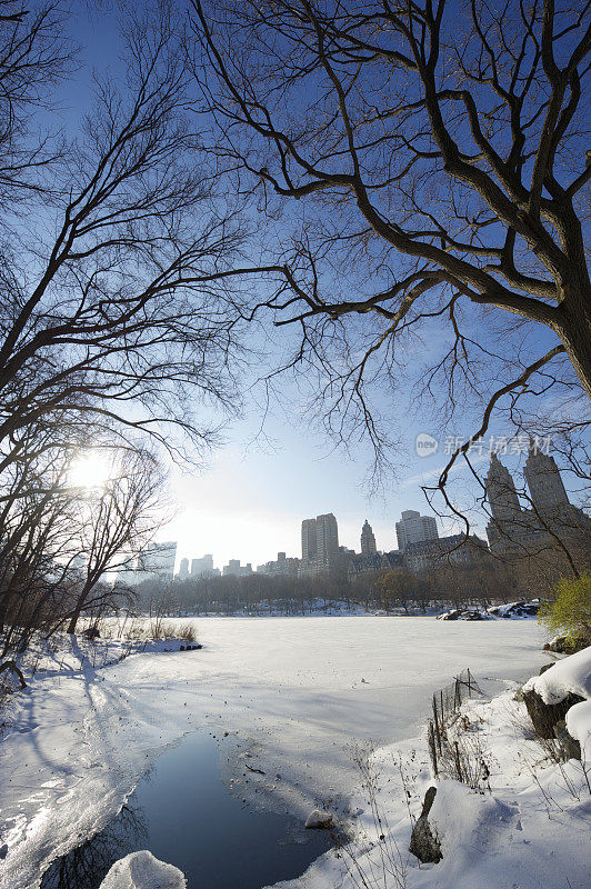 纽约中央公园冬季场景冰冻池塘