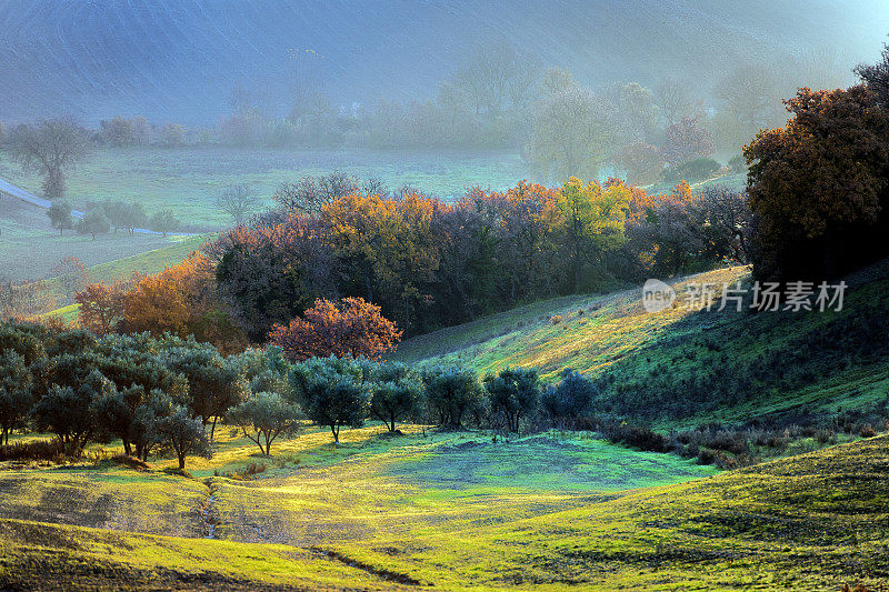 风景优美的托斯卡纳风景在日出，瓦尔德奥尔西亚，意大利