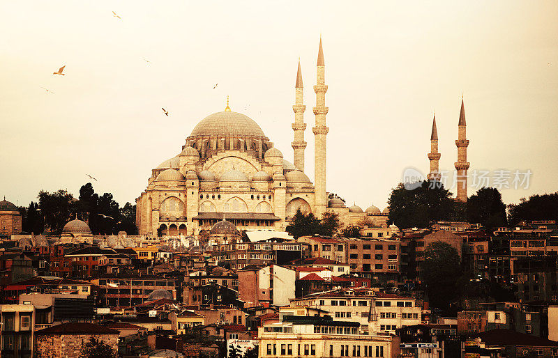 Suleymanie清真寺