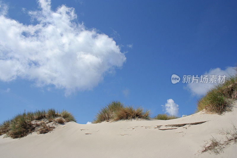 沙丘上Helgoland