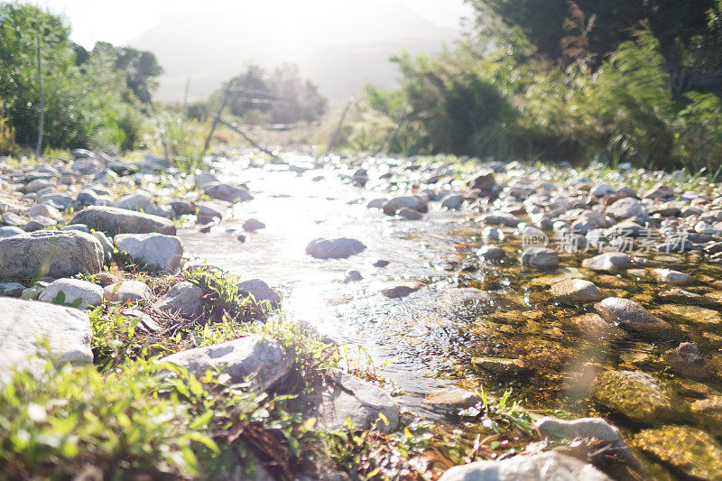 平静的河流