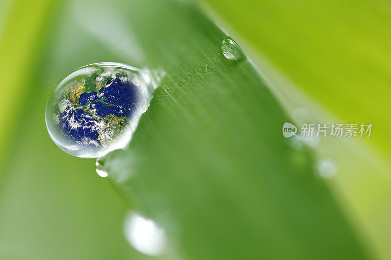 树叶带着雨滴，恢复大地的概念