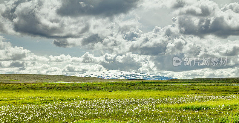 开阔的草原与云景和盾火山的背景。冰岛。