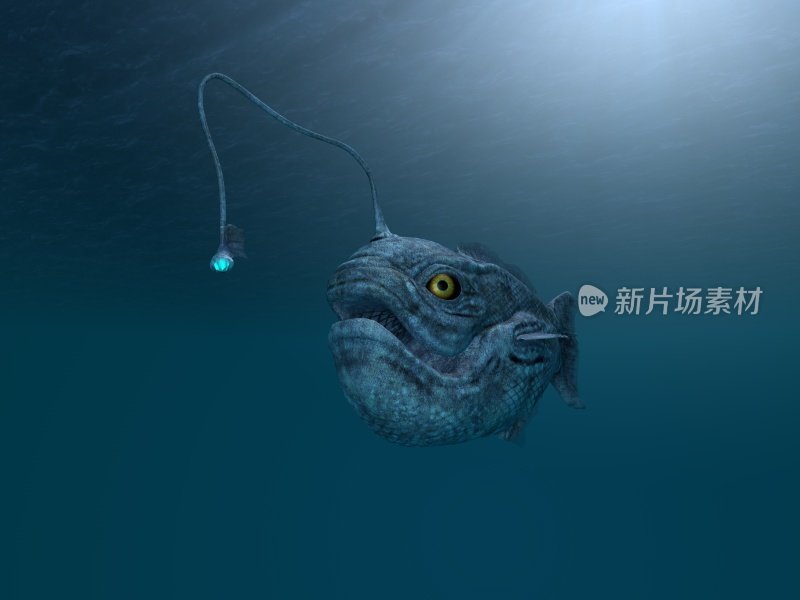 古代琵琶鱼