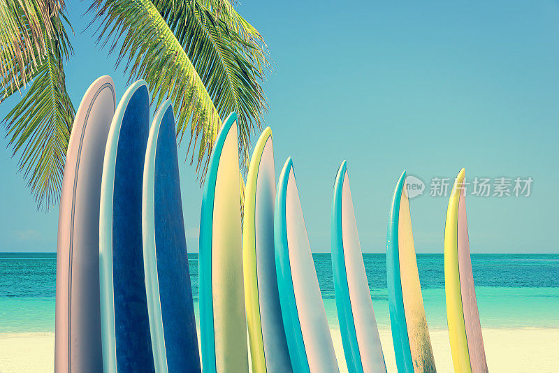 五颜六色的冲浪板堆叠在一个热带海滩上的棕榈树，复古复古的过滤器