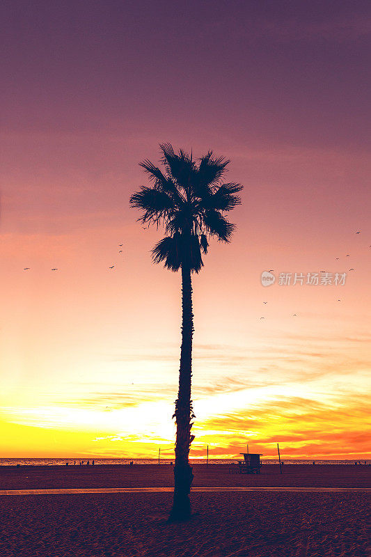 洛杉矶-圣塔莫尼卡，加利福尼亚州美丽的日落海滩