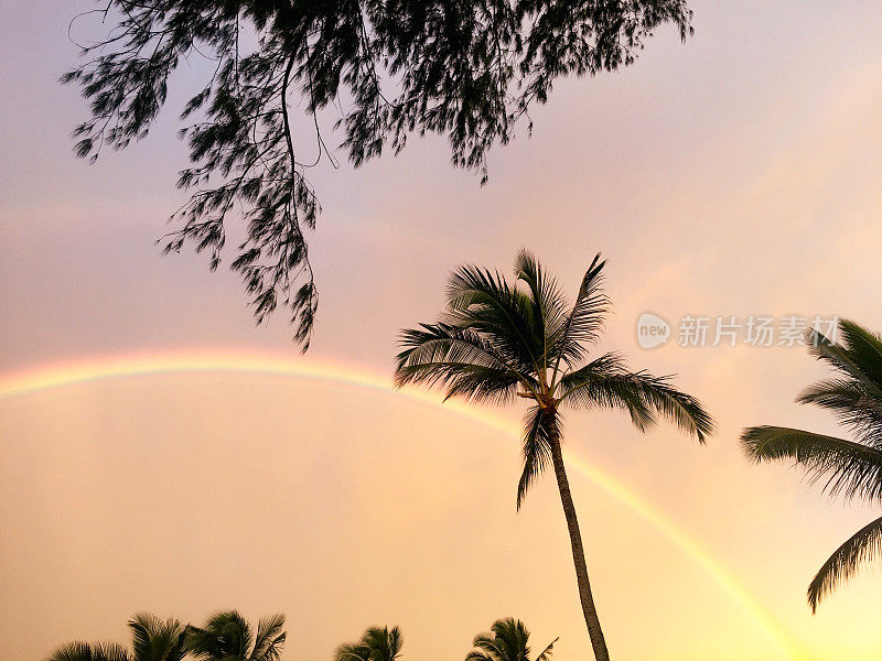 暴风雨过后，夏威夷考艾岛上出现了双彩虹和棕榈树