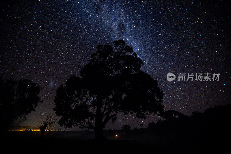 一棵树的剪影映衬在明亮的银河夜空中