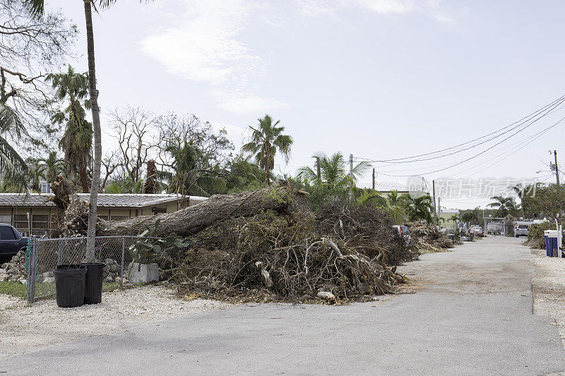飓风过后，基拉戈的整条街道遭到了破坏