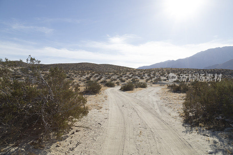 加州，有一个岔路口的沙漠公路