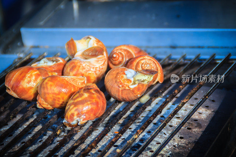 斑点巴比伦(巴比伦的areolata)烤在木炭炉上出售在曼谷街头，泰国。