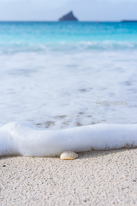 沙滩上的贝壳被翻滚的海浪的白色泡沫所覆盖。热带海滩，碧水蓝天。岩石在地平线