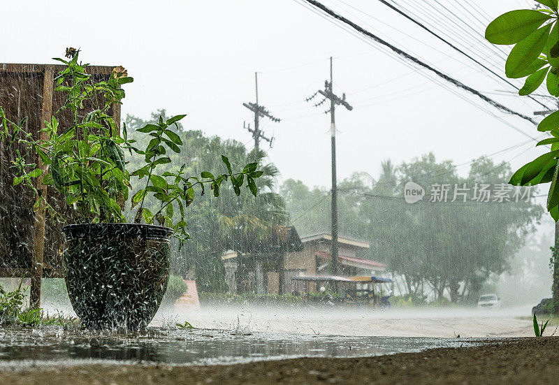 极端天气:热带季风雨